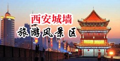 看干屄视频网站中国陕西-西安城墙旅游风景区